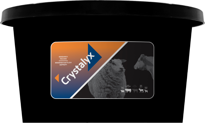 CRYSTALYX Garlyx (Schwarz)